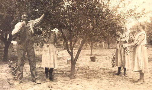 Picking Cherries