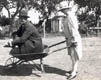 In the Wheelbarrow