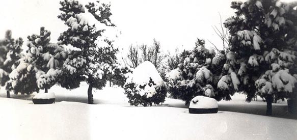 Snow