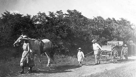 Broken Buggy