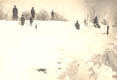 Snow