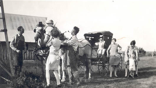 Horse and Buggy