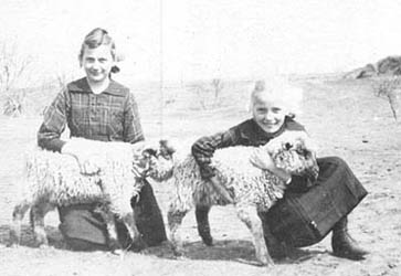Marie and Selma with Sheep
