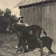 Mules