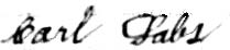 Signature of Carl Labs