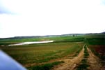 Countryside near Barnkovo and Chojna