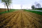 Field in the countryside near Barnkovo and Chojna