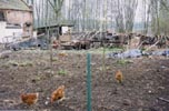 Barnyard of Woman doing her washing