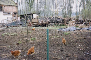 Barnyard of Woman Washing Clothes