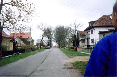 Houses in the Newer Part of Bernickow