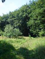 Cemetery