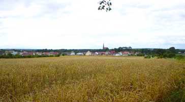 Chojna from just outside Barnkovo