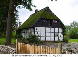 Thatched house
