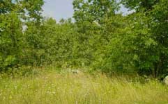 Cemetery between Gumtow and Klutzkow