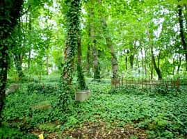 Old Cemetery