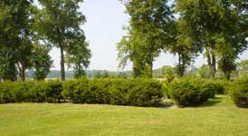 New part of the Cemetery